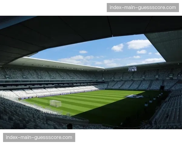 新波尔多大球场建设工程因环保评估延期,投入使用时间待定 新波尔多大球场建设工程因环保评估延期,投入使用时间待定