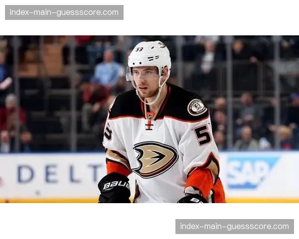 深度报道：NHL扩张至休斯顿，德州“冰球三角”格局初显